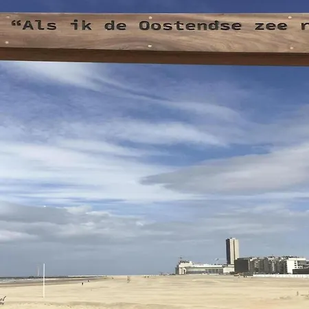 In Near North Sea, Cleaning Included 公寓 奥斯滕德